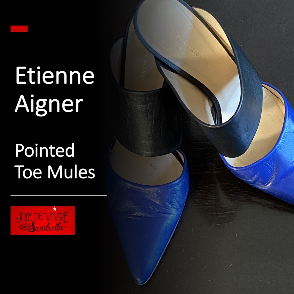 Etienne Aigner Pointed-Toe Mules - Black & Blue